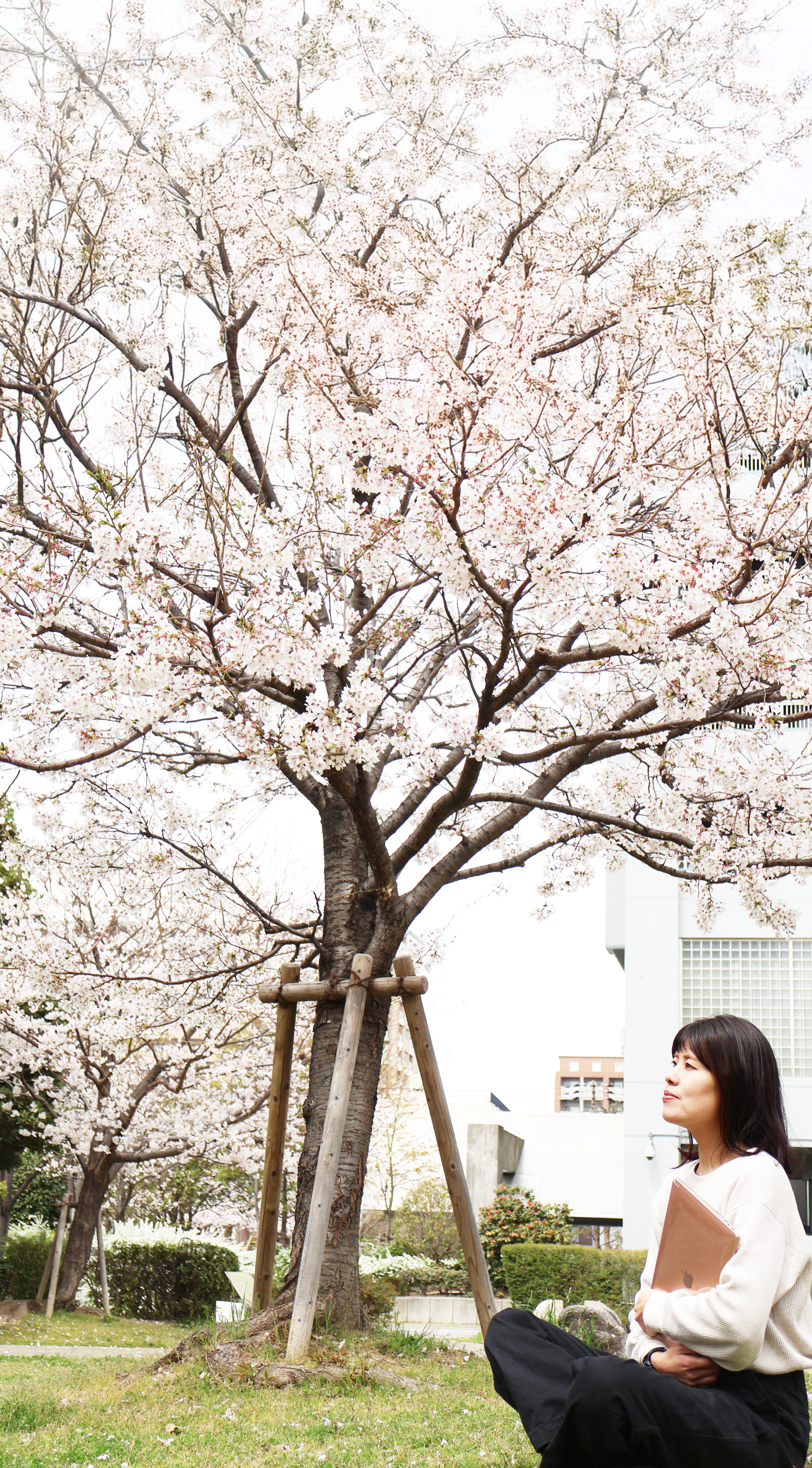 プロフィール写真